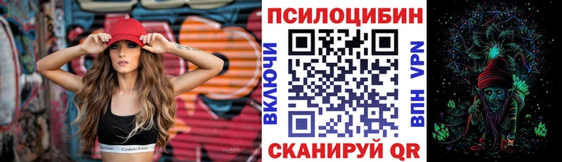 где найти наркотики  Петров Вал  мега онион  Галлюциногенные грибы Psilocybine cubensis 